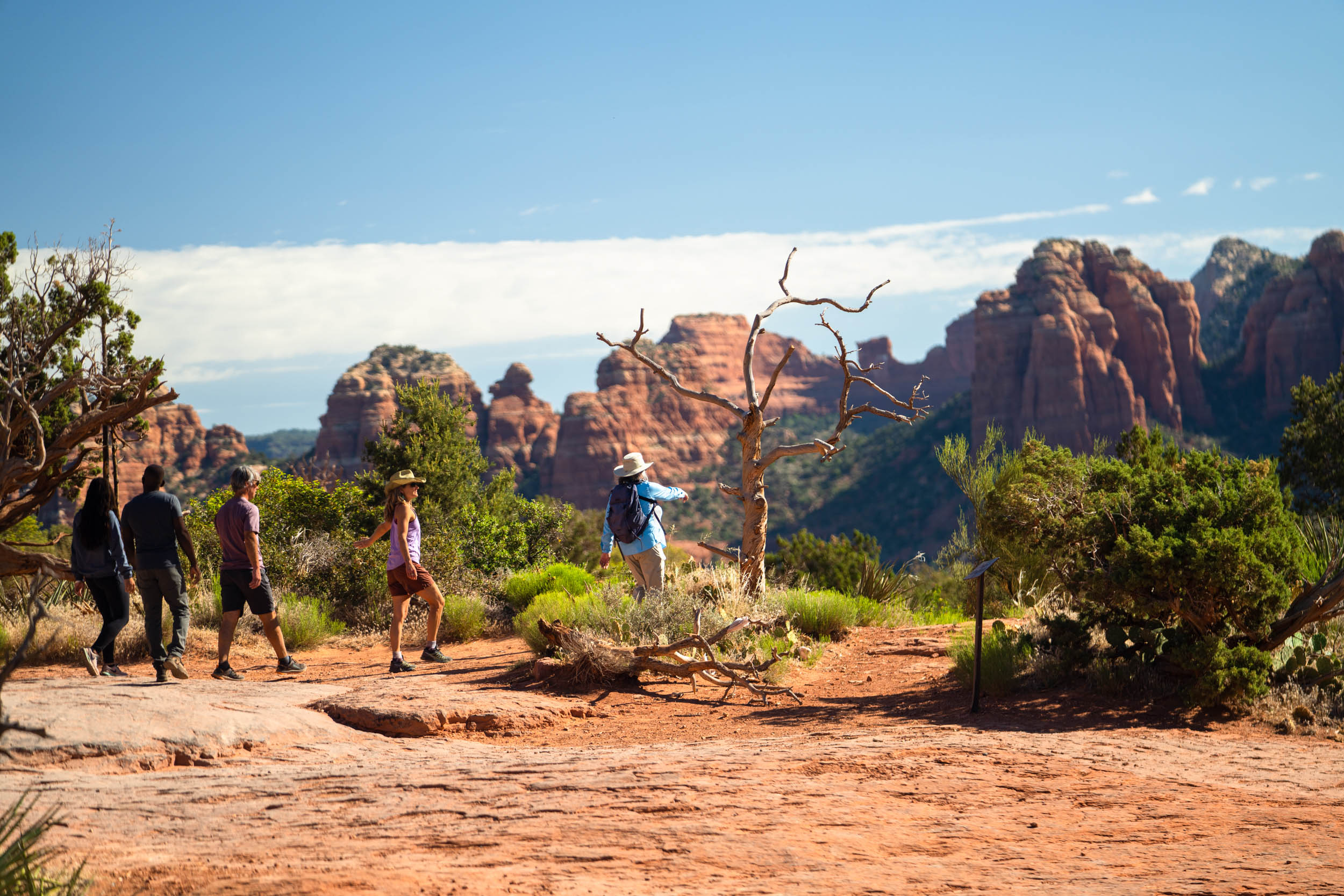 hikers on red rock trail
