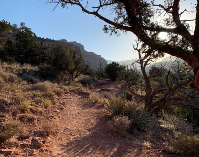 trail in sedona